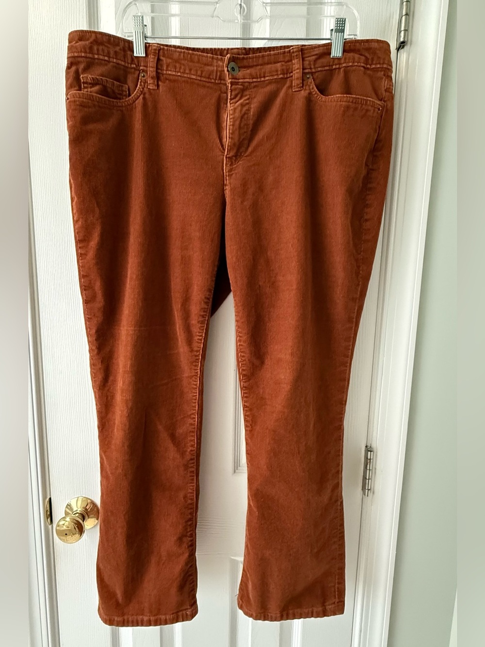 Land’s End Brown Rust-Colored Corduroy Pants 16 Petite
